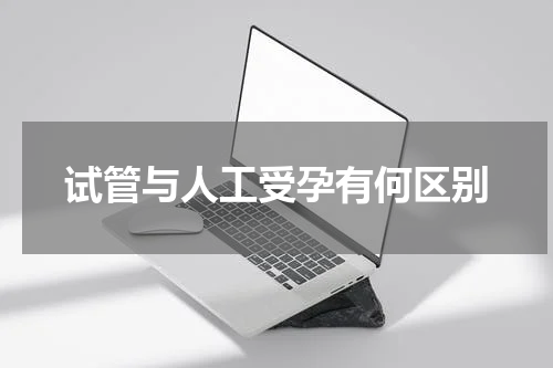 试管与人工受孕有何区别