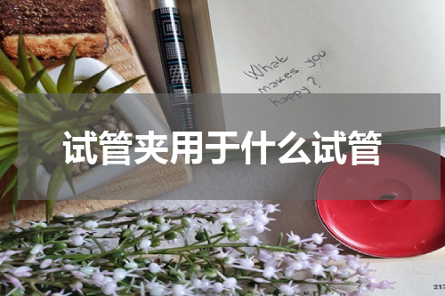 试管夹用于什么试管