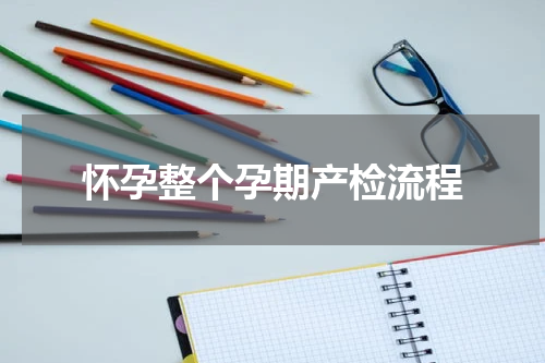 怀孕整个孕期产检流程