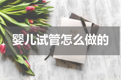 婴儿试管怎么做的