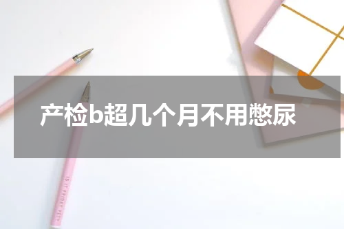 产检b超几个月不用憋尿