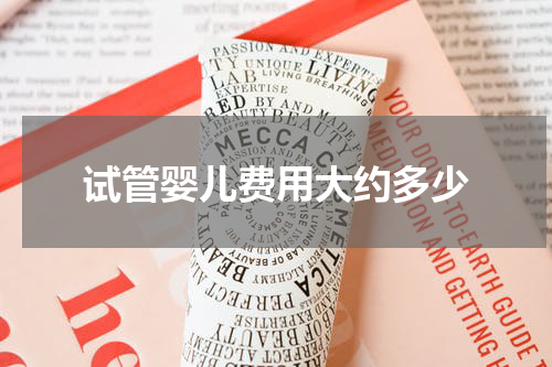 试管婴儿费用大约多少