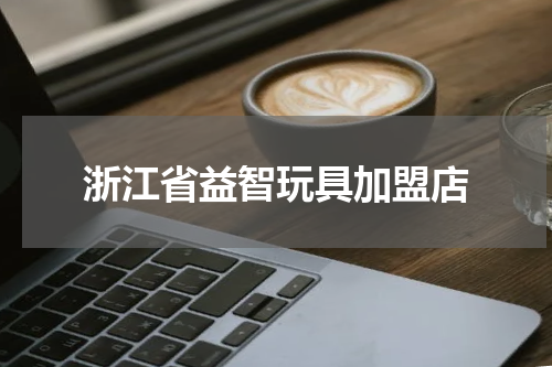 浙江省益智玩具加盟店