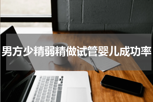 男方少精弱精做试管婴儿成功率