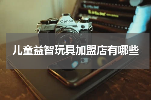 儿童益智玩具加盟店有哪些