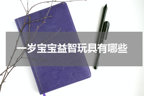 一岁宝宝益智玩具有哪些