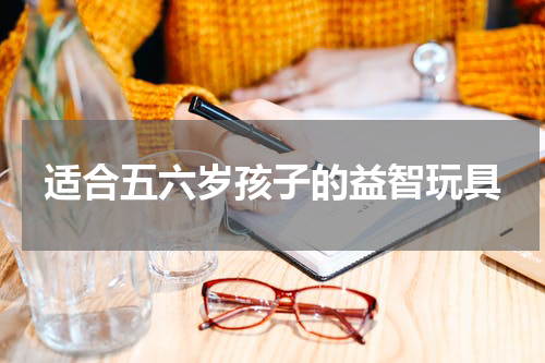 适合五六岁孩子的益智玩具