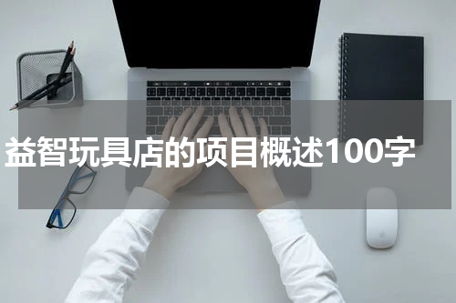 益智玩具店的项目概述100字