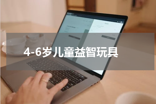 4-6岁儿童益智玩具