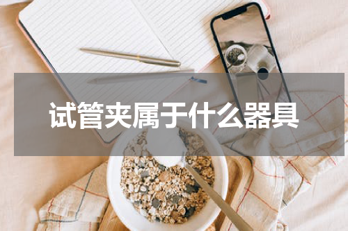 试管夹属于什么器具