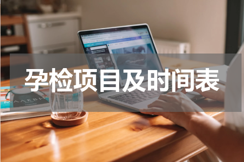 孕检项目及时间表