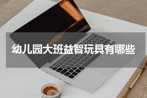 幼儿园大班益智玩具有哪些