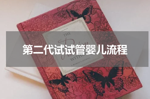 第二代试试管婴儿流程