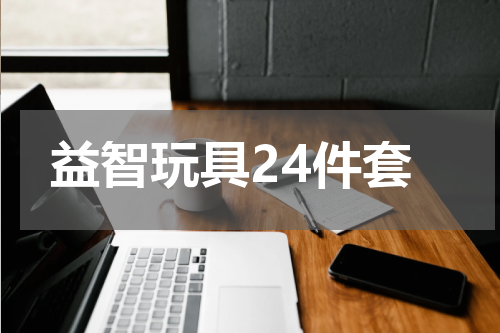 益智玩具24件套