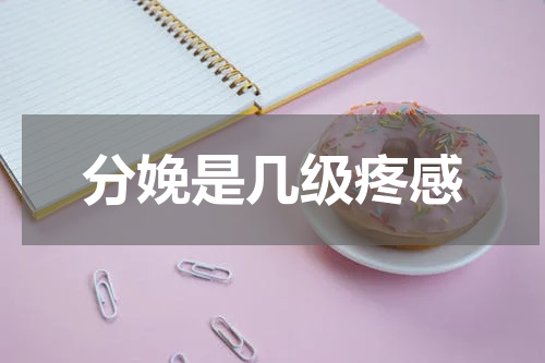 分娩是几级疼感