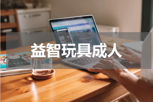 益智玩具成人