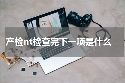 产检nt检查完下一项是什么