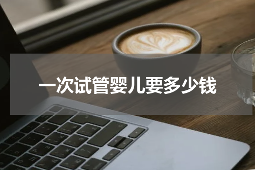 一次试管婴儿要多少钱