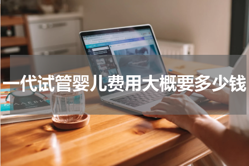 一代试管婴儿费用大概要多少钱