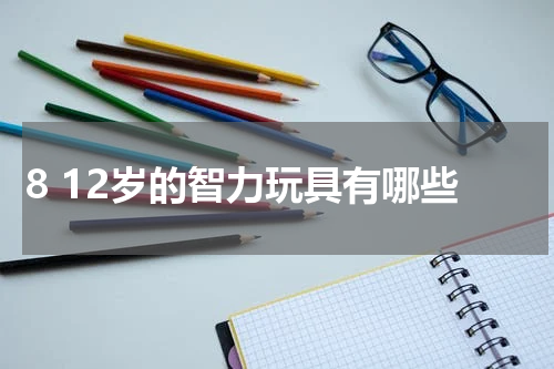 8 12岁的智力玩具有哪些