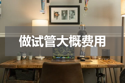 做试管大概费用