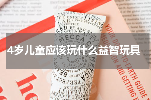 4岁儿童应该玩什么益智玩具