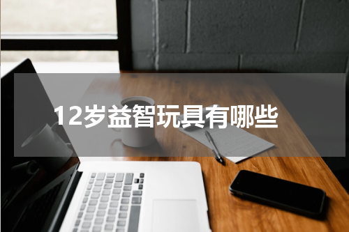 12岁益智玩具有哪些