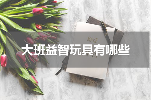 大班益智玩具有哪些
