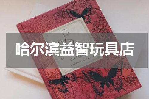 哈尔滨益智玩具店
