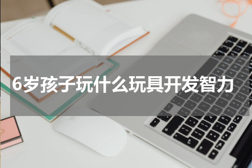6岁孩子玩什么玩具开发智力