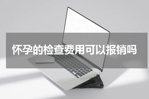 怀孕的检查费用可以报销吗