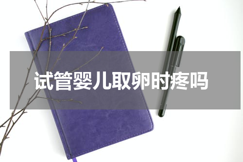 试管婴儿取卵时疼吗