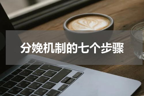 分娩机制的七个步骤