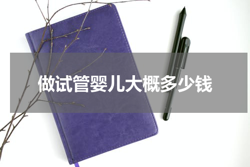 做试管婴儿大概多少钱