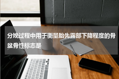 分娩过程中用于衡量胎先露部下降程度的骨盆骨性标志是