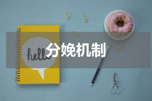 分娩机制