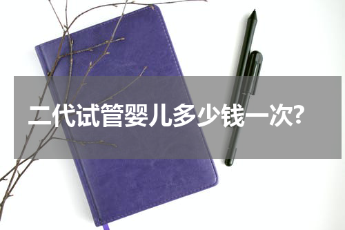 二代试管婴儿多少钱一次?