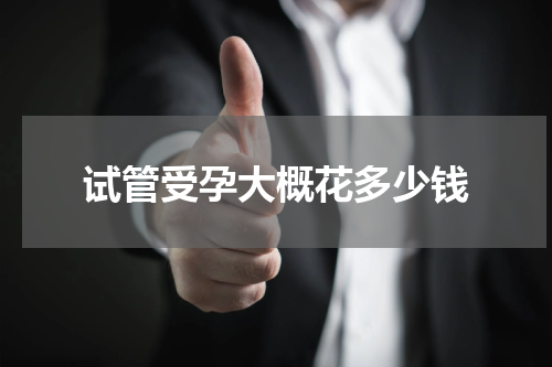 试管受孕大概花多少钱