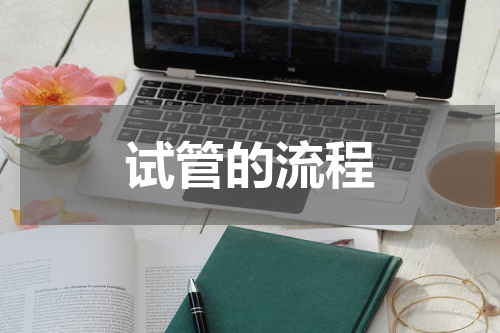 试管的流程