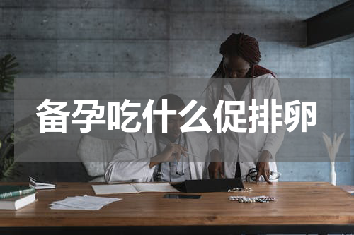 备孕吃什么促排卵