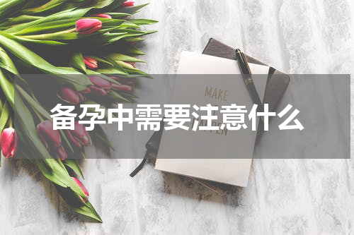 备孕中需要注意什么