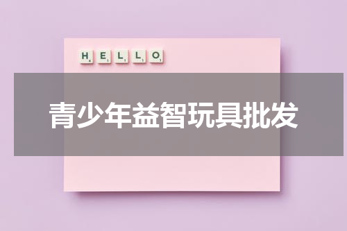 青少年益智玩具批发