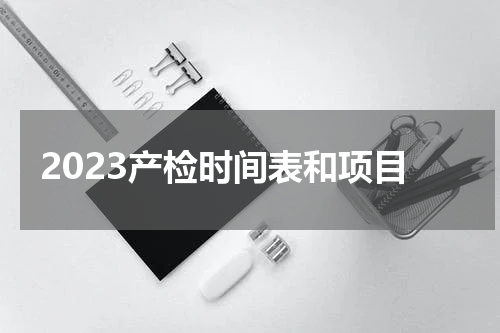 2023产检时间表和项目
