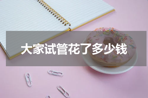 大家试管花了多少钱