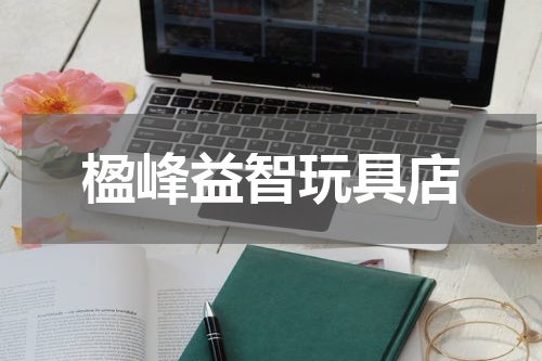 楹峰益智玩具店