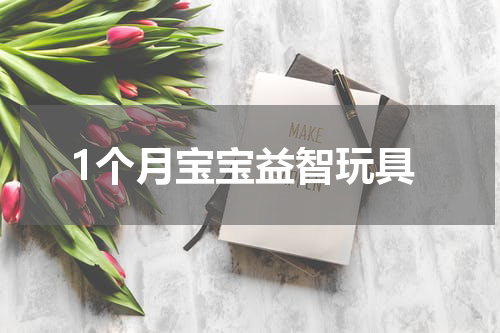 1个月宝宝益智玩具