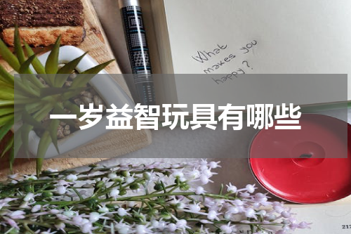 一岁益智玩具有哪些