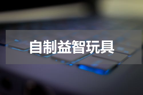 自制益智玩具