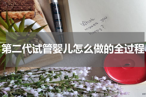 第二代试管婴儿怎么做的全过程