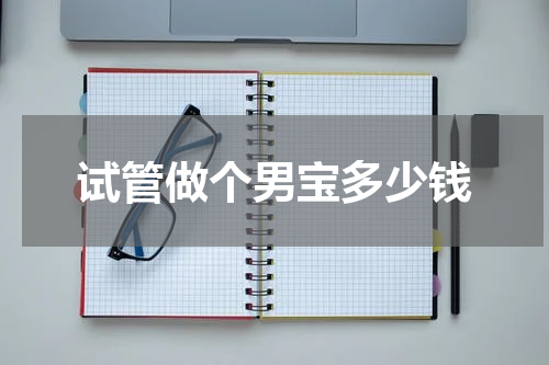 试管做个男宝多少钱